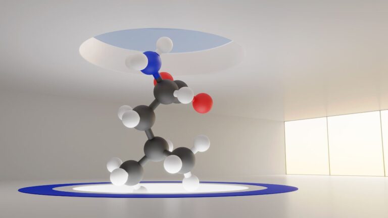 Modelo molecular de un aminoácido.