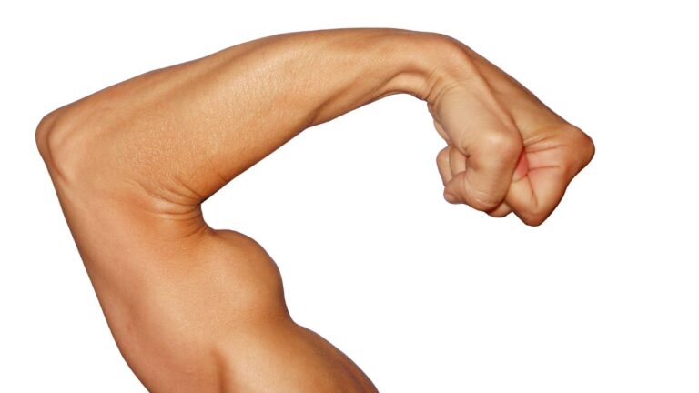 Ejercicio de bíceps con mancuerna para una rutina de entrenamiento de brazos equilibrada