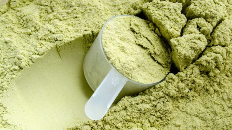 Medida de proteína en polvo para complementar la dieta diaria del deportista.