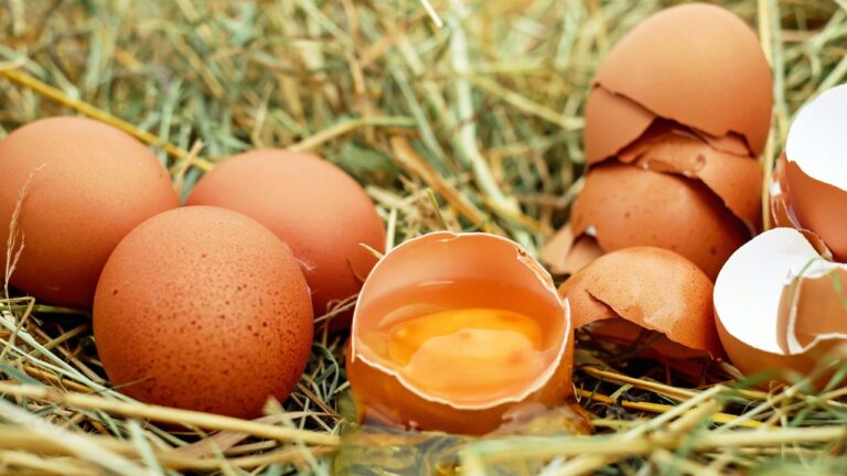 Huevos frescos en un nido de paja, ilustrando alimentos naturales ricos en nutrientes.