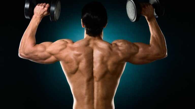 Ejemplo de técnica de press militar con mancuernas mostrando la musculatura de la espalda.