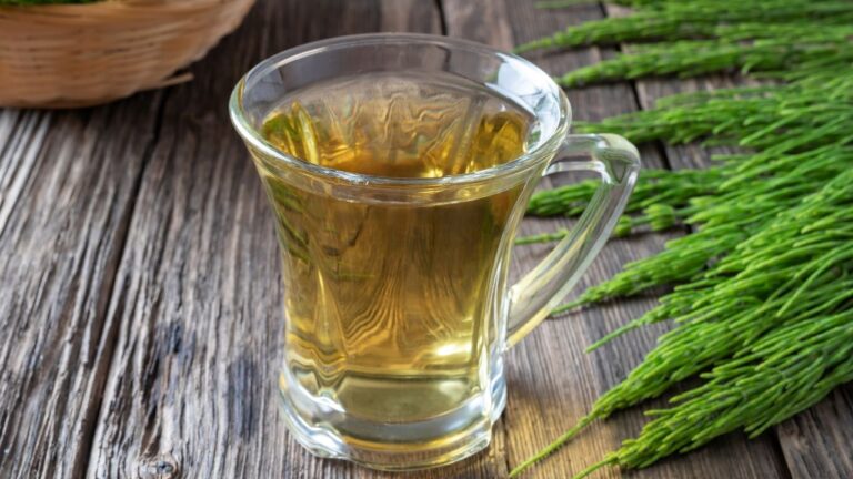 Bebida de hierbas calientes con hojas de cola de caballo al lado, listas para una dieta saludable."