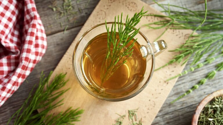 Taza de té con hierba medicinal sobre un mantel de cuadros rojos y blancos, acompañado de ramas frescas al lado.