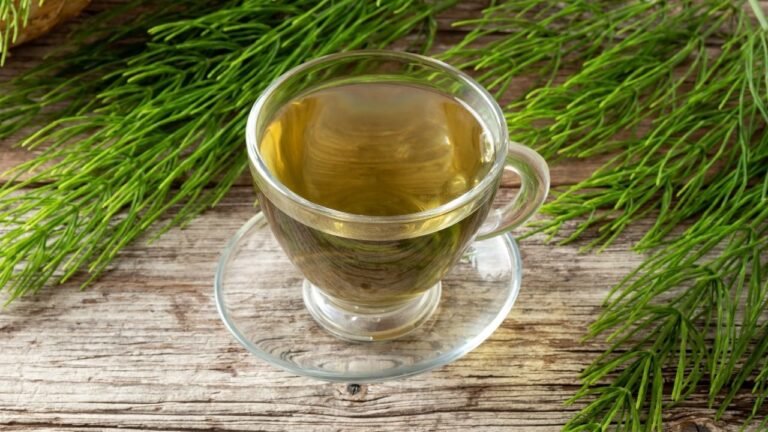 Cola de caballo para infusiones, en una taza de vidrio sobre superficie de madera, con ramas al fondo