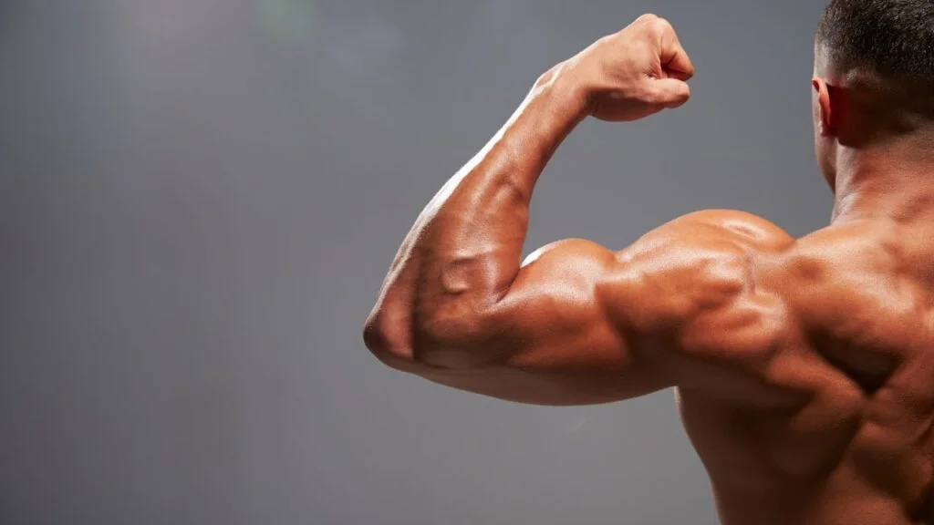 Rutina de fortalecimiento del brazo de un deportista mostrando músculos bíceps marcados.